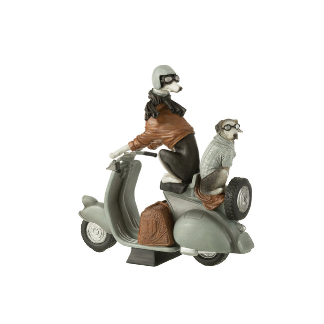 J-Line Honden Op Scooter Poly Mix Groot