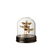 J-Line Stolp Vlinder Poly/Glas Goud