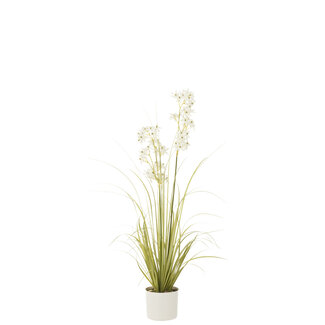 J-Line Allium In Pot Kunststof Groen/Wit Medium