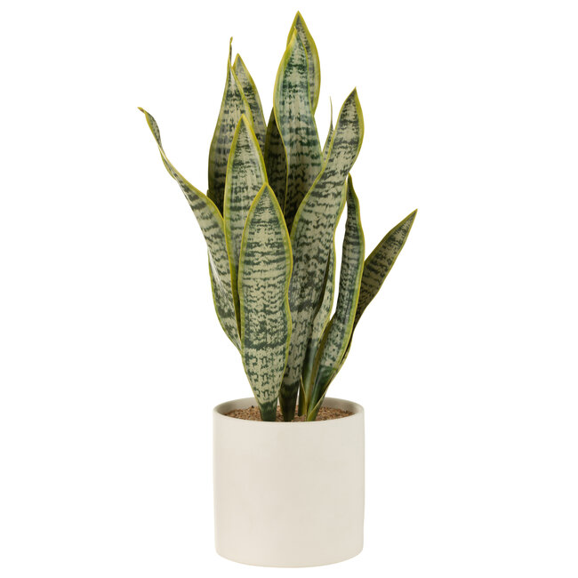 J-Line Plant Sansevieria in PVC groene extra grote pot