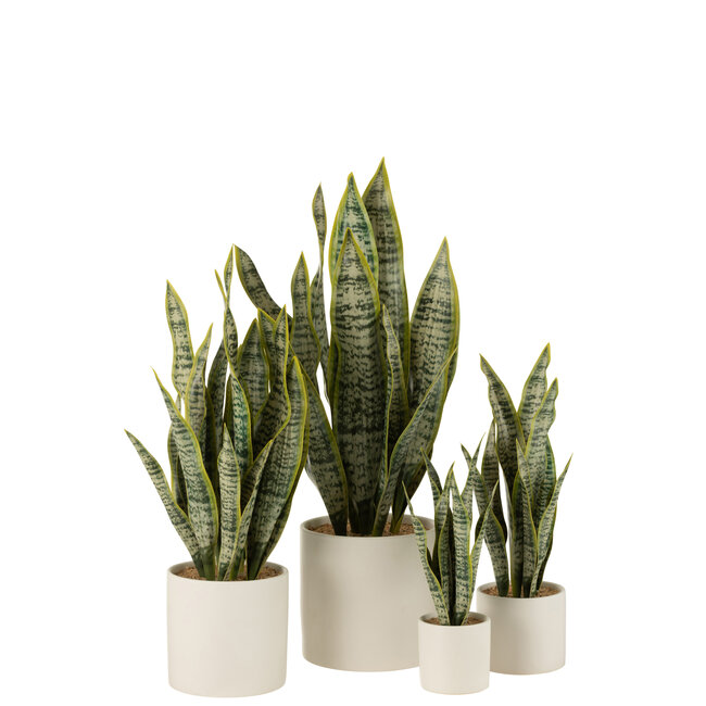 J-Line Plant Sansevieria in PVC groene extra grote pot