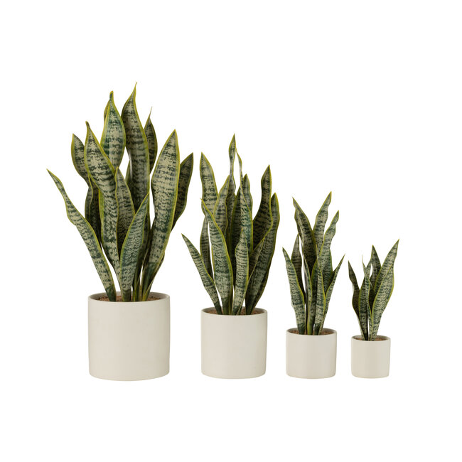 J-Line Plant Sansevieria in PVC groene extra grote pot