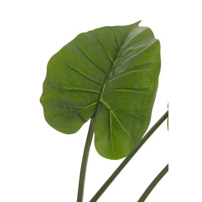 J-Line Taro Wild In Pot Kunststof Groen