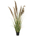 J-Line Pampasgras 5 Koppen In Pot Pvc Groen/Beige Klein