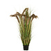 J-Line Pampasgras 13 Koppen In Pot Pvc Groen/Beige Groot