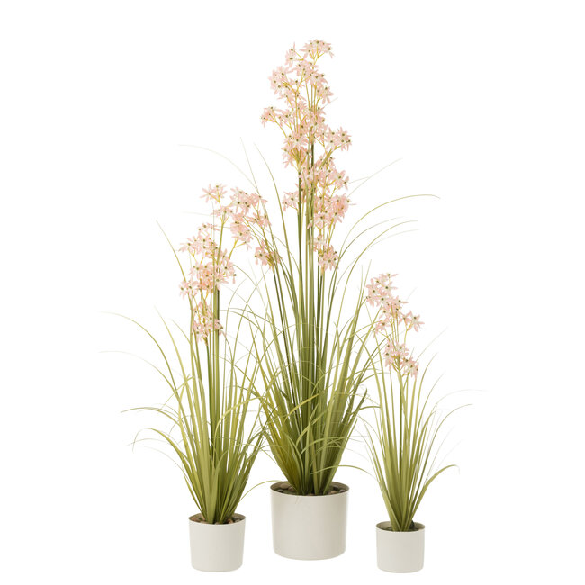 J-Line Allium In Pot Kunststof Groen/Lichtroze Groot