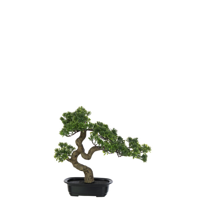 J-Line Podocarpus Bonsai Kunstgroen Klein