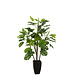 J-Line Philodendron In Pot Kunststof Groen Groot