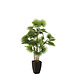 J-Line Palmboomventilator In Pot Kunststof Groen
