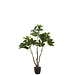J-Line Money Tree Pot Kunststof Groen S