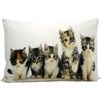 Mars & More canvas kussen kittens 35x50cm