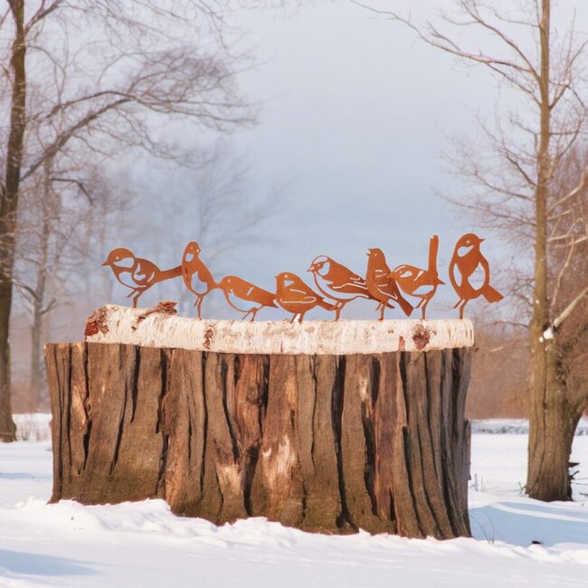 Dream-Garden Tuindecoratie zeven vogels roest set 3