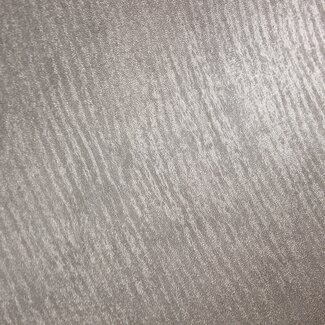2Lif Stainless Nickel Zelfklevende Folie Mini rol zilver 45cmx1,5mtr