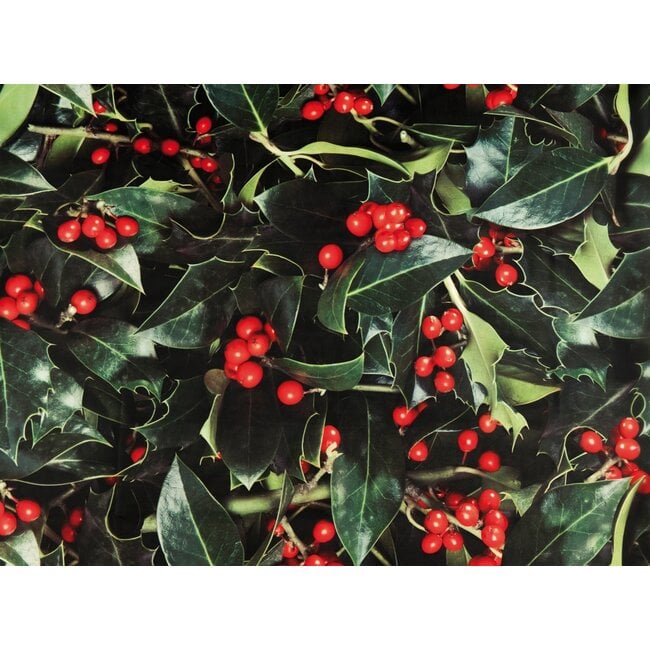 2Lif Deco Holly 150 cm x 2,5 mtr