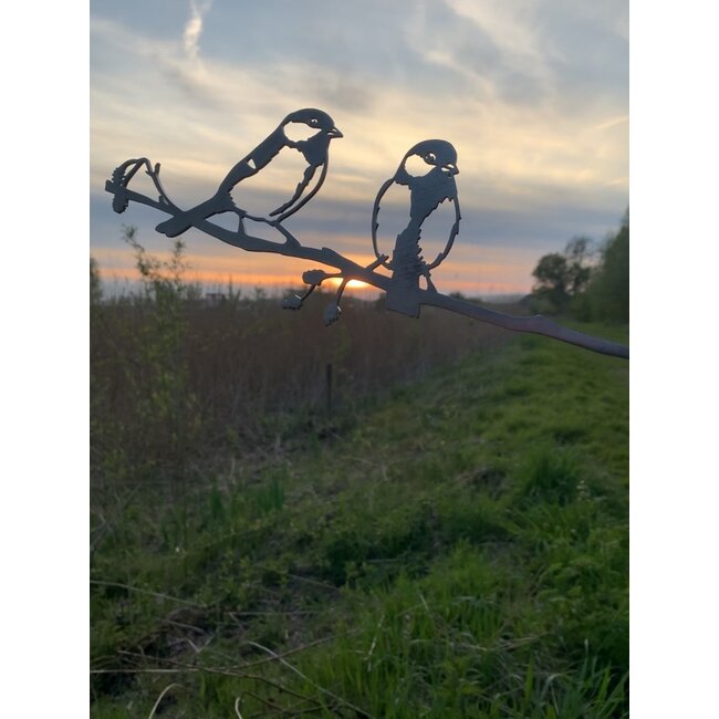 Siermetaal Tuindecoratie voordeelpakket van metalen vogels