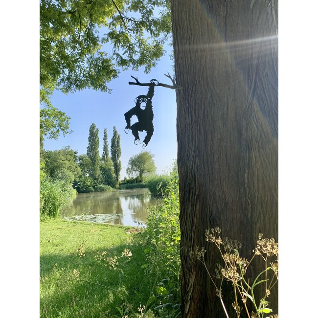 Siermetaal Tuindecoratie aap aan boomtak |  42.5 cm x 33.6 cm