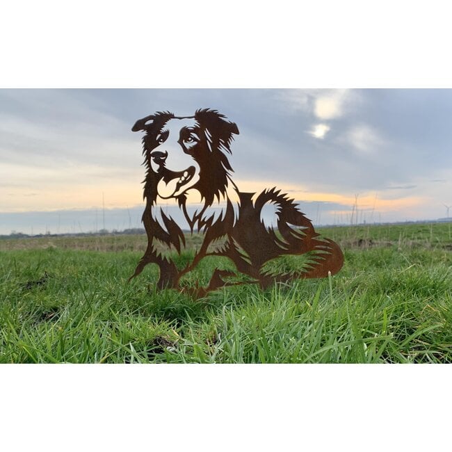 Siermetaal Tuindecoratie Liggende bordercollie | 81.3 cm x 69.3 cm