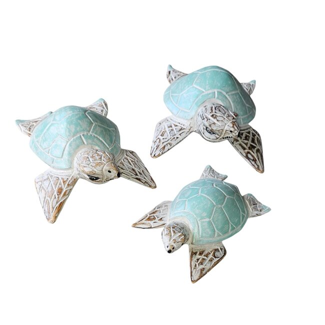 Bali-Dreams Handgemaakte  schildpadden set driedelig turquoise wit 25-21-17 cm