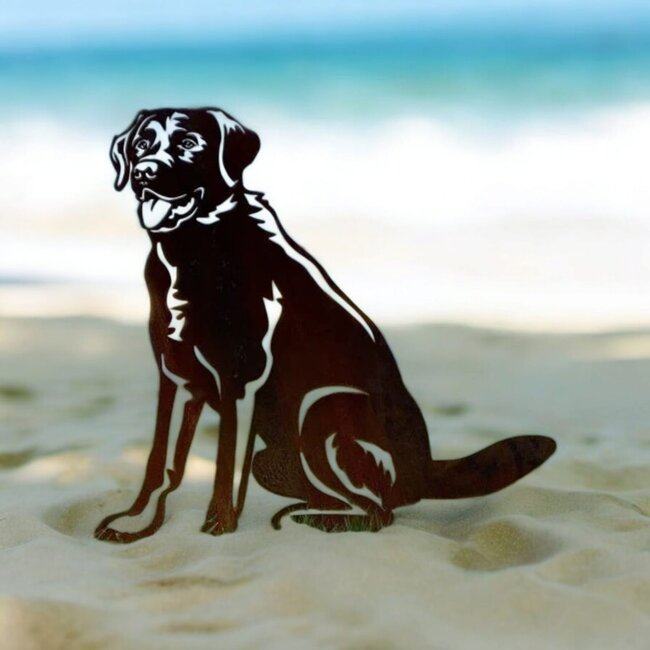Siermetaal Tuindecoratie Labrador - Levensgroot | formaat 87.8 cm x 73.6 cm