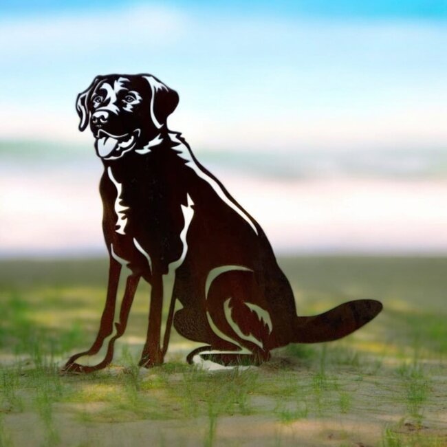Siermetaal Tuindecoratie Labrador - Levensgroot | formaat 87.8 cm x 73.6 cm