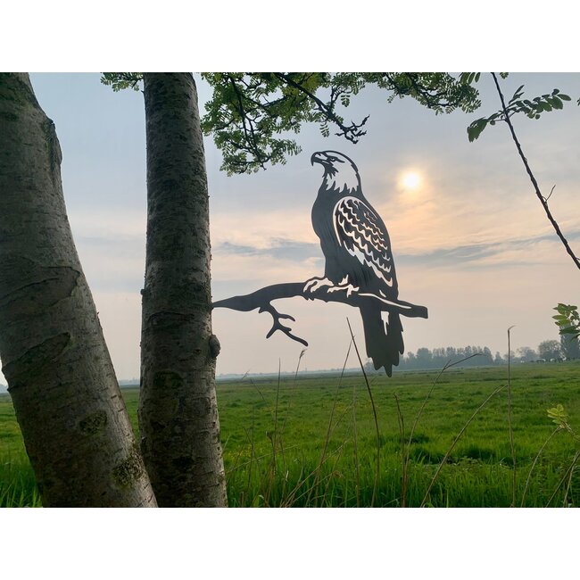 Siermetaal Tuindecoratie Adelaar op tak | 50 cm 46 cm