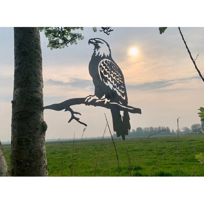 Siermetaal Tuindecoratie Adelaar op tak | 50 cm 46 cm