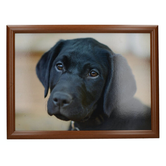 Creative Tops Schootkussen laptray zwarte labrador 44 cm