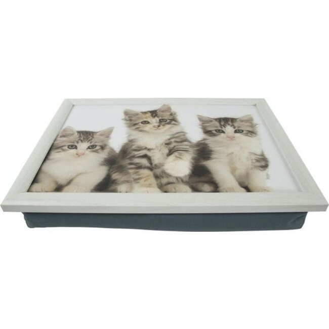 Mars en More Kittens - Laptray - Schootkussen - 43 cm - Grijs/Wit