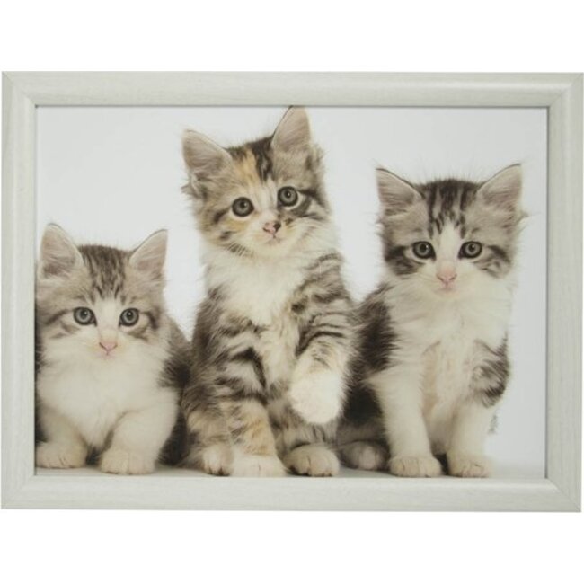 Mars en More Kittens - Laptray - Schootkussen - 43 cm - Grijs/Wit