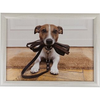 Mars en More Schootkussen Jack Russell met riem 43 cm