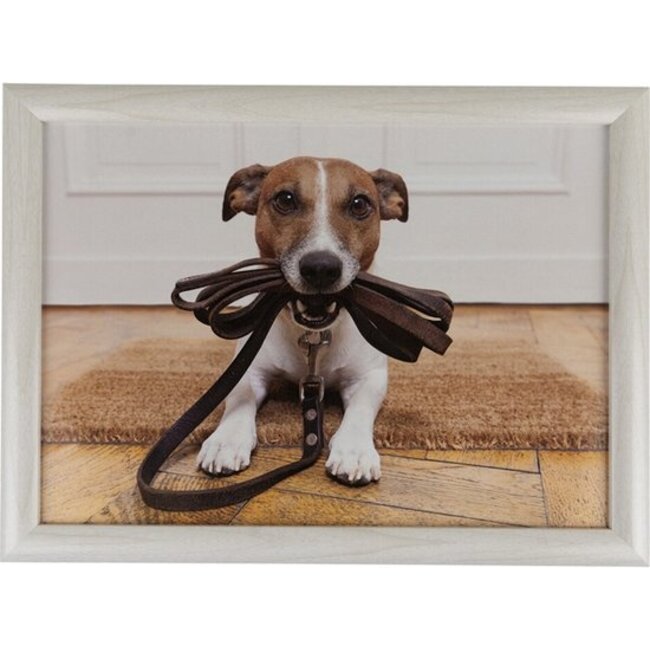 Mars en More Schootkussen Jack Russell met riem 43 cm