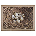 Mars & More schootkussen eieren in nest 43cm