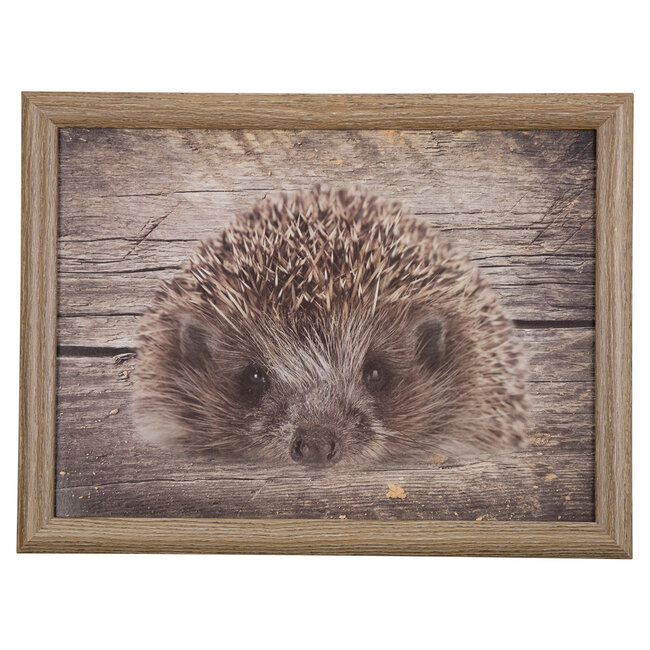 Mars en More Laptray-  schootkussen egel 43cm