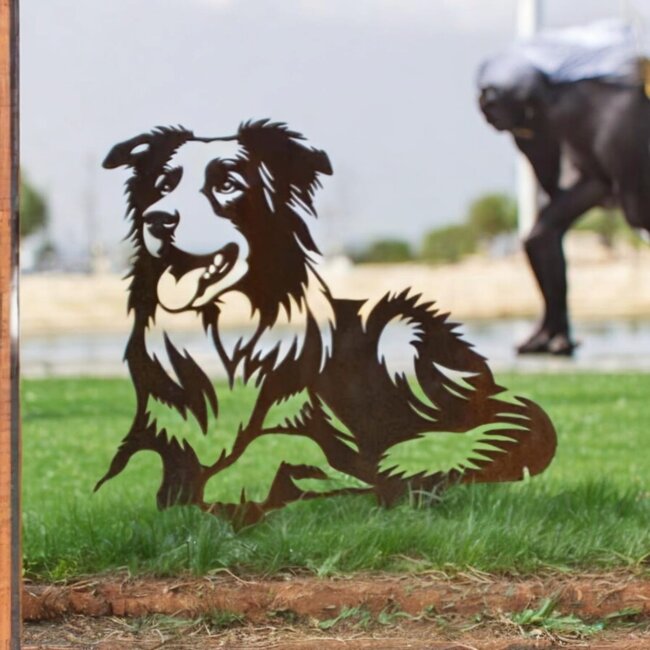 Siermetaal Tuindecoratie Liggende bordercollie | 81.3 cm x 69.3 cm