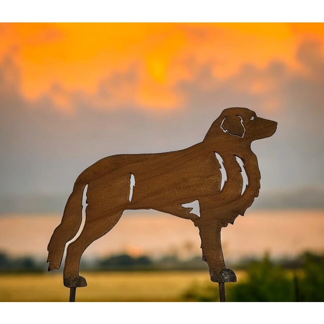 Dream-Garden Gazonsteker Friese stabij hond Hidde 32x24cm