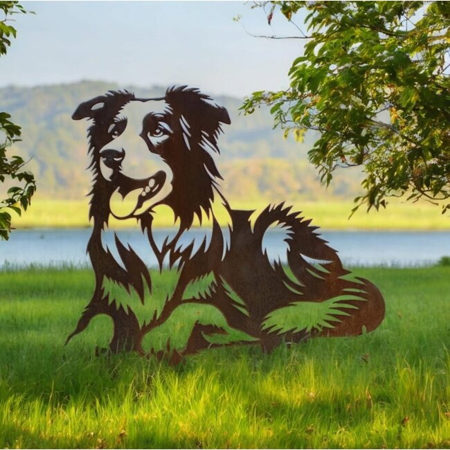 Siermetaal Tuindecoratie Liggende bordercollie | 81.3 cm x 69.3 cm
