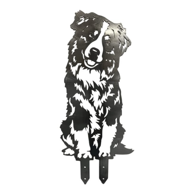 Siermetaal Tuindecoratie metaal australian shepherd levensgroot