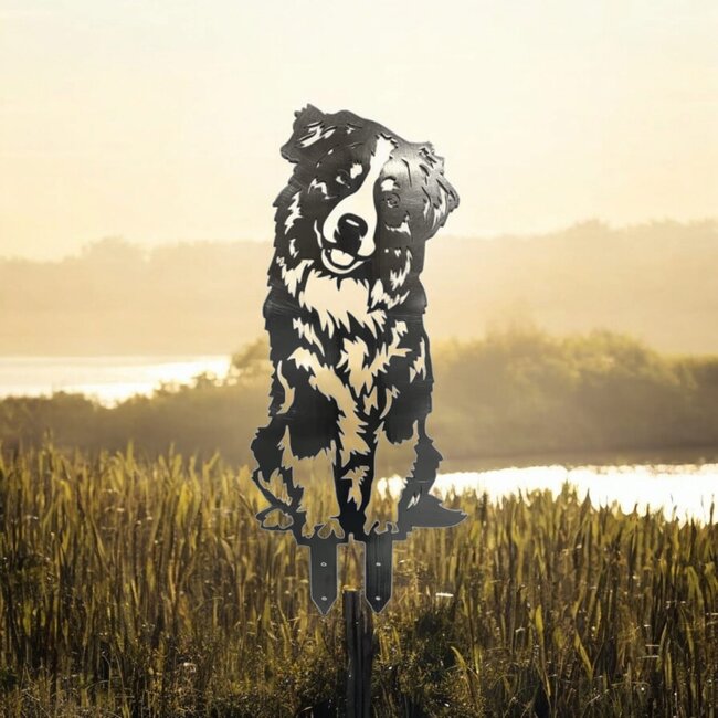 Siermetaal Tuindecoratie metaal australian shepherd levensgroot
