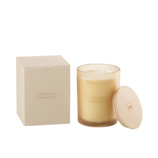 J-Line Geurkaars Essential Accords Sunny Orange Tree-52H