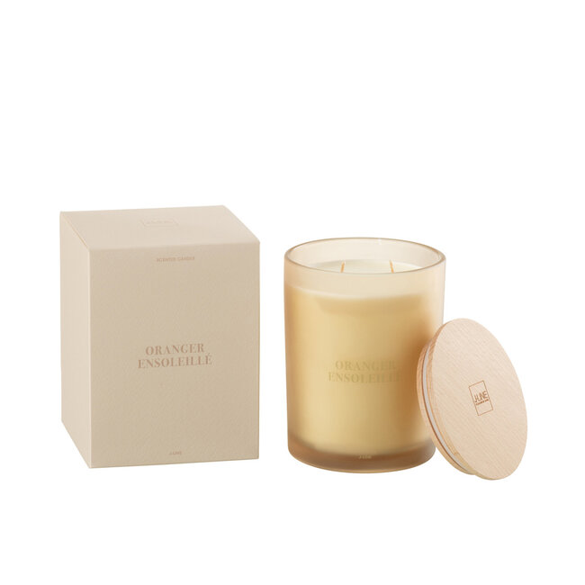 J-Line Geurkaars Essential Accords Sunny Orange Tree-52H