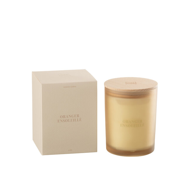 J-Line Geurkaars Essential Accords Sunny Orange Tree-52H