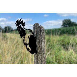 Dream-Garden Kiekeboe Haan/ Rooster Herman, 141632, Zwart, 31,7x16,3x0,2cm