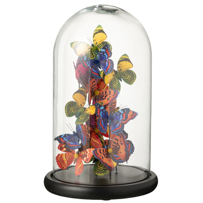 J-Line Bell Jar vlinders glas/papier mix groot
