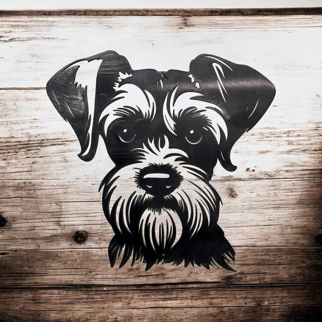 Siermetaal Wanddecoratie dwergschnauzer | 35.8 cm x 31,7 cm