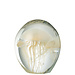 J-Line Papiergewicht Calypso Glas Transparant/Beige Groot