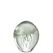 J-Line Papiergewicht Calypso Glas Transparant/Groen Klein