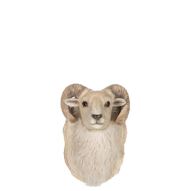 J-Line Geitenkop Hangend Poly Beige Klein