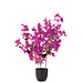 J-Line Kersenbloesempot Kunstmatig Paars