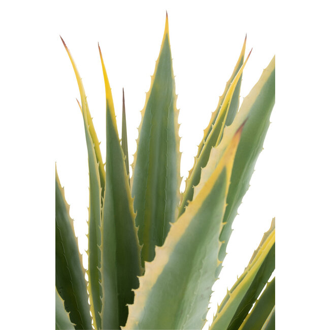 J-Line Agave Gele Rand Pot Kunstgroen