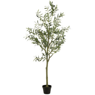 J-Line Olijfboom Pot Kunstmatig Groen Groot